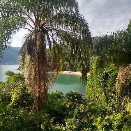 Ubatuba Surf Hostel, Apenas A 60 Metros Da Praia Da Lagoinha! Eksteriør bilde
